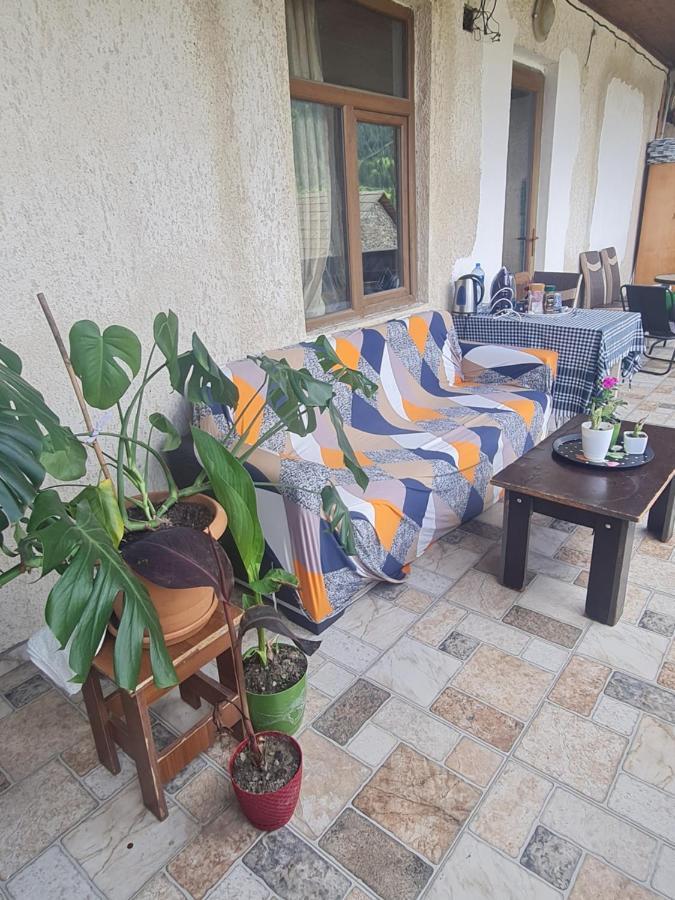 Guest House Goshtela Mestia Kültér fotó